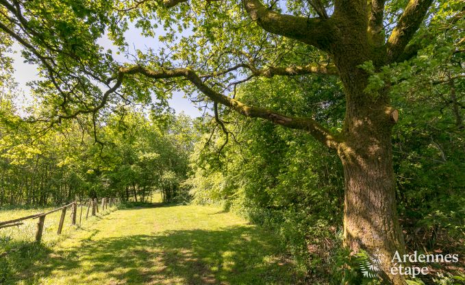 Vakantiehuis in Paliseul voor 20 personen in de Ardennen