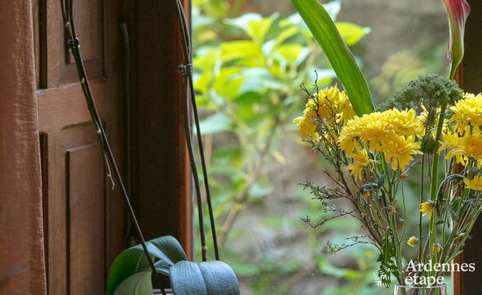 Vakantiehuis in Paliseul voor 26/28 personen in de Ardennen