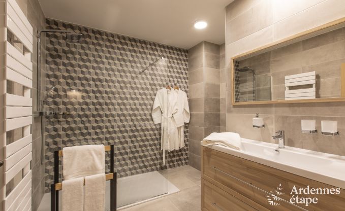 Vakantiehuis in Paliseul voor 12 personen in de Ardennen