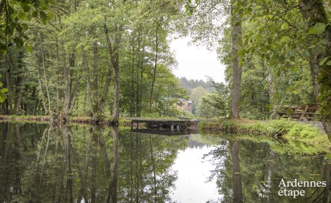 Vakantiehuis in Paliseul voor 12 personen in de Ardennen