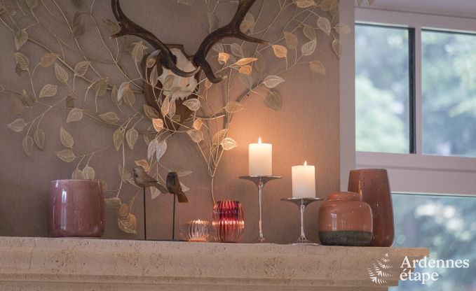 Vakantiehuis in Paliseul voor 12 personen in de Ardennen