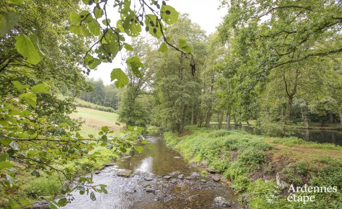 Vakantiehuis in Paliseul voor 12 personen in de Ardennen