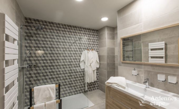 Vakantiehuis in Paliseul voor 12 personen in de Ardennen