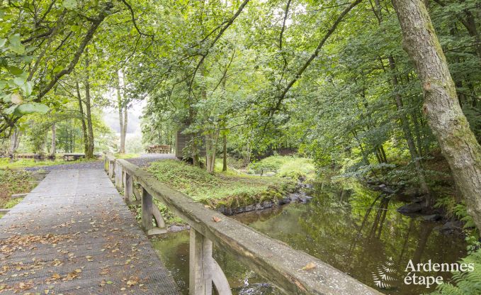 Vakantiehuis in Paliseul voor 12 personen in de Ardennen