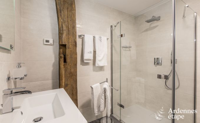 Vakantiehuis in Paliseul voor 10 personen in de Ardennen