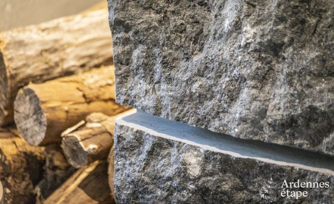 Vakantiehuis in Paliseul voor 10 personen in de Ardennen