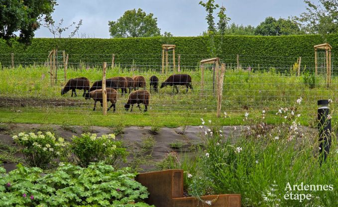 Vakantiewoning voor 9 personen met sauna en tuin in het charmante Our, Paliseul