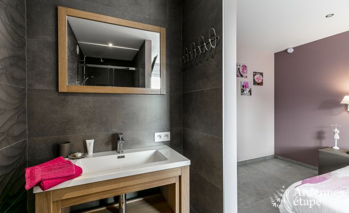 Luxe vakantiehuis in Paliseul met zwembad, wellness en spellen,  voor 28 personen in de Ardennen