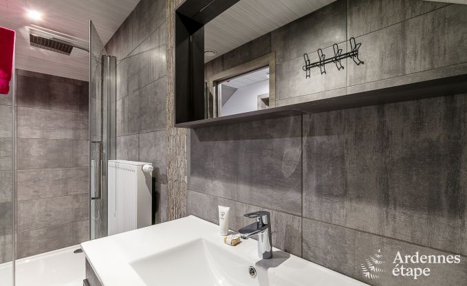 Luxe vakantiehuis in Paliseul met zwembad, wellness en spellen,  voor 28 personen in de Ardennen