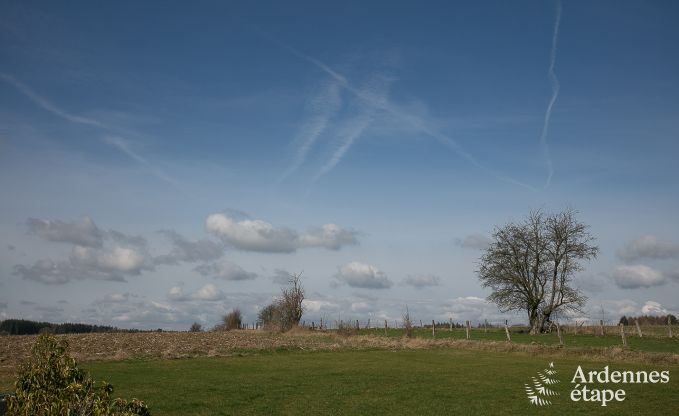 Luxe vakantiehuis in Paliseul met zwembad, wellness en spellen,  voor 28 personen in de Ardennen
