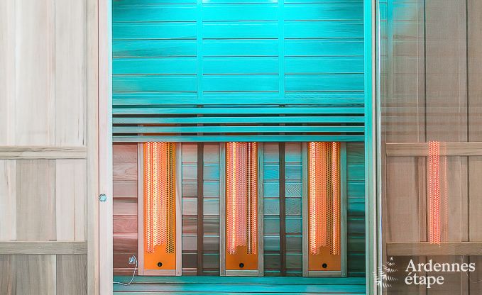 Luxe vakantiehuis in Paliseul met zwembad, wellness en spellen,  voor 28 personen in de Ardennen