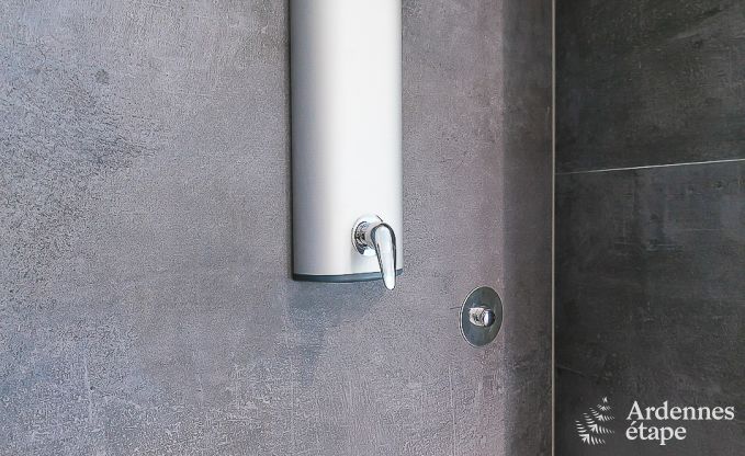 Luxe vakantiehuis in Paliseul met zwembad, wellness en spellen,  voor 28 personen in de Ardennen