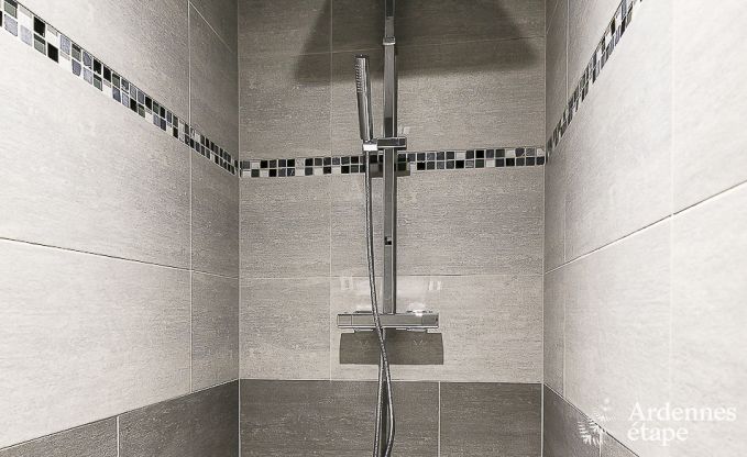 Luxe vakantiehuis in Paliseul met zwembad, wellness en spellen,  voor 28 personen in de Ardennen