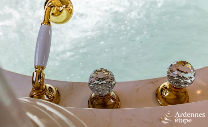 Luxe vakantiehuis in Paliseul met zwembad, wellness en spellen,  voor 28 personen in de Ardennen