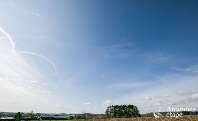 Luxe vakantiehuis in Paliseul met zwembad, wellness en spellen,  voor 28 personen in de Ardennen