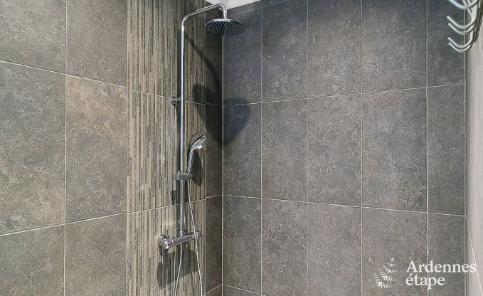 Luxe vakantiehuis in Paliseul met zwembad, wellness en spellen,  voor 28 personen in de Ardennen