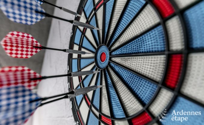 Luxe vakantiehuis in Paliseul met zwembad, wellness en spellen,  voor 28 personen in de Ardennen