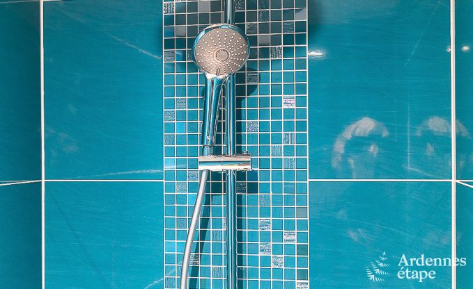 Luxe vakantiehuis in Paliseul met zwembad, wellness en spellen,  voor 28 personen in de Ardennen