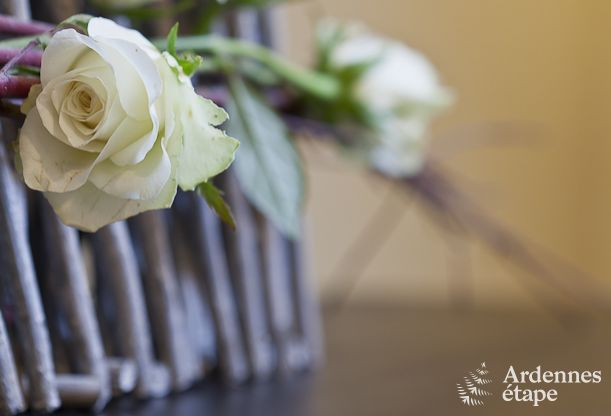 Vakantiehuis in Paliseul voor 4/5 personen in de Ardennen