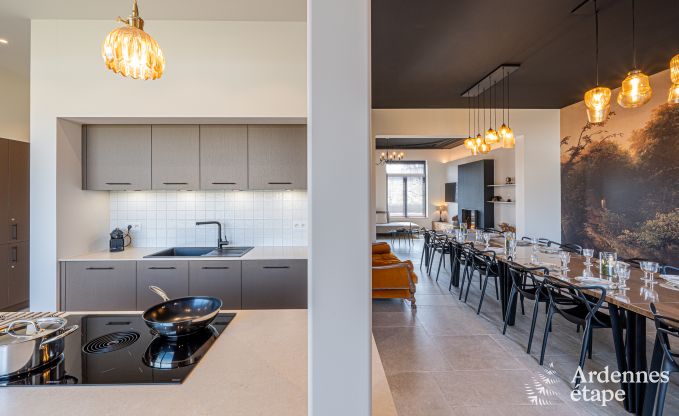 Moderne vakantiewoning in Paliseul voor 14 personen met zwembad, speelkamer en nabijheid van Boekendorp Redu in de Ardennen
