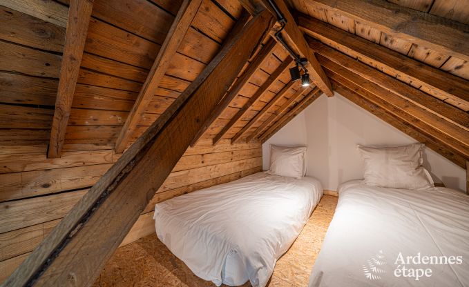 Moderne vakantiewoning in Paliseul voor 14 personen met zwembad, speelkamer en nabijheid van Boekendorp Redu in de Ardennen