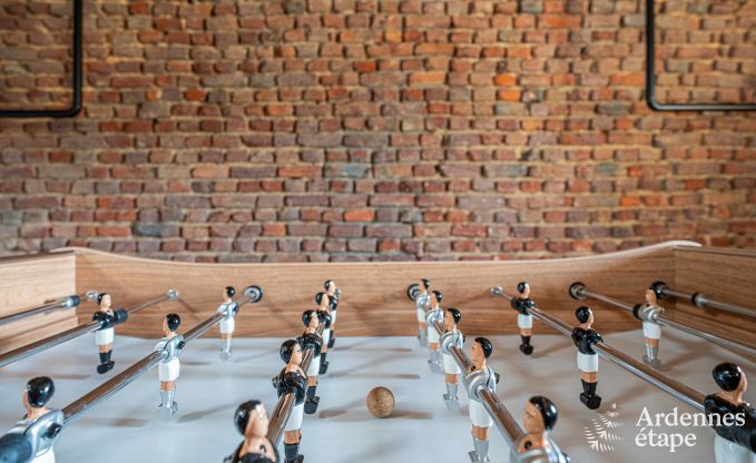 Moderne vakantiewoning in Paliseul voor 14 personen met zwembad, speelkamer en nabijheid van Boekendorp Redu in de Ardennen