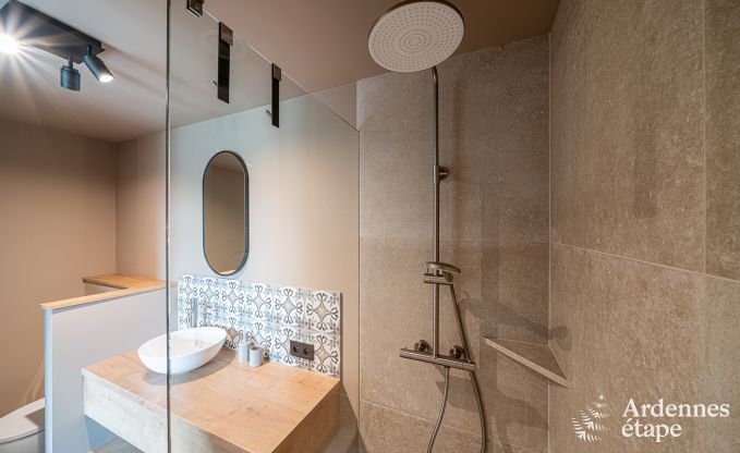 Moderne vakantiewoning in Paliseul voor 14 personen met zwembad, speelkamer en nabijheid van Boekendorp Redu in de Ardennen