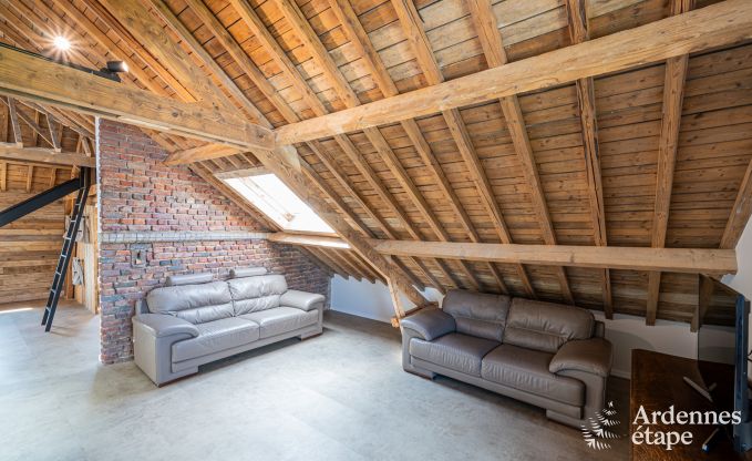 Moderne vakantiewoning in Paliseul voor 14 personen met zwembad, speelkamer en nabijheid van Boekendorp Redu in de Ardennen