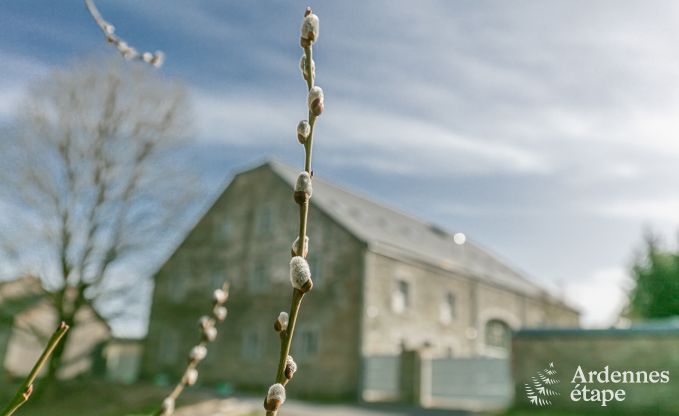Luxe villa in Paliseul voor 26 personen in de Ardennen