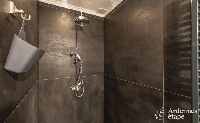 Luxe villa in Paliseul voor 8/12 personen in de Ardennen