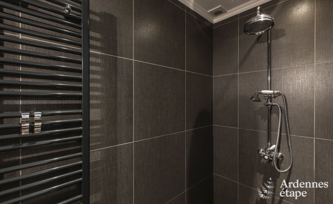 Luxe villa in Paliseul voor 8/12 personen in de Ardennen