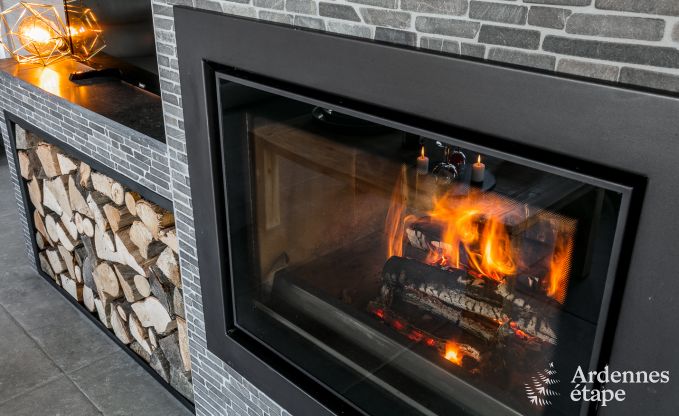 Hoogwaardige vakantiewoning in Paliseul voor 14 personen in de Ardennen