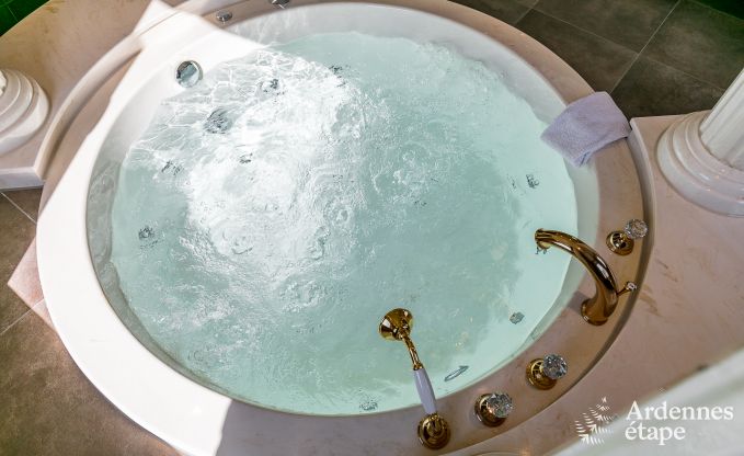 Hoogwaardige vakantiewoning in Paliseul voor 14 personen in de Ardennen