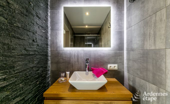 Hoogwaardige vakantiewoning in Paliseul voor 14 personen in de Ardennen