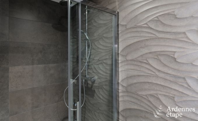 Hoogwaardige vakantiewoning in Paliseul voor 14 personen in de Ardennen