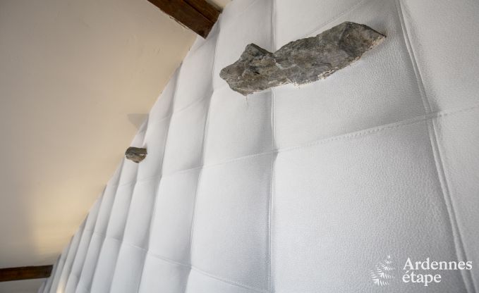 Vakantiehuis in Paliseul voor 6/8 personen in de Ardennen