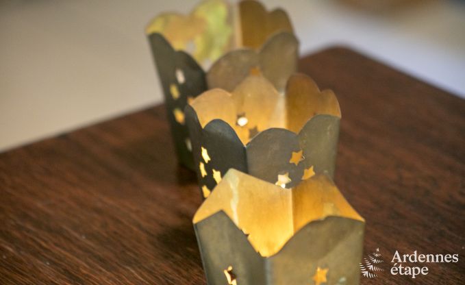 Vakantiehuis in Paliseul voor 6/8 personen in de Ardennen