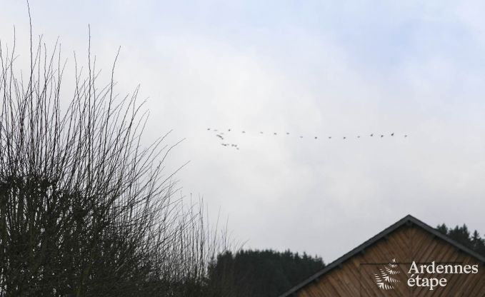Vakantiehuis in Paliseul voor 6 personen in de Ardennen