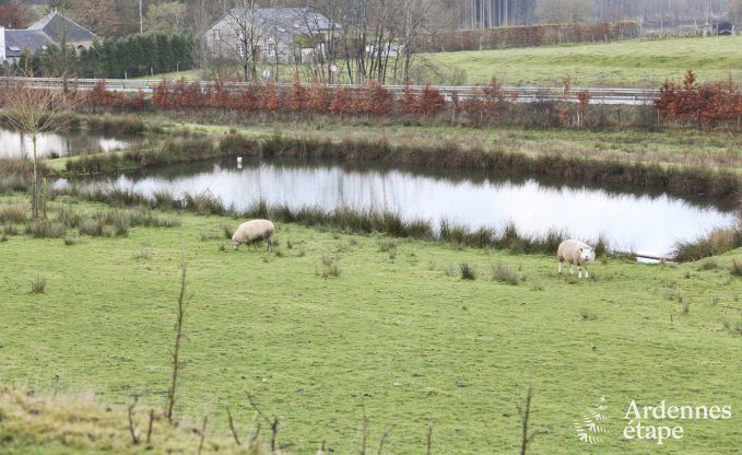 Vakantiehuis in Paliseul voor 6 personen in de Ardennen