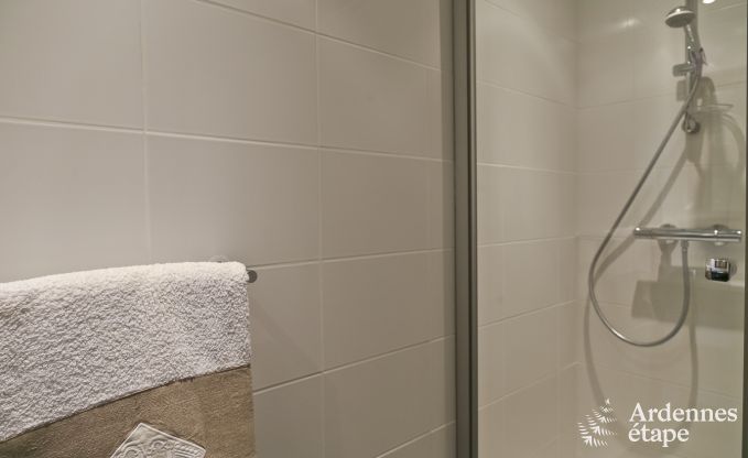 Vakantiehuis in Paliseul voor 8 personen in de Ardennen