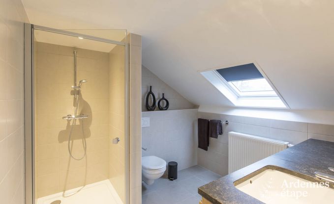 Vakantiehuis in Paliseul voor 8/9 personen in de Ardennen