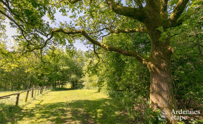 Vakantiehuis in Paliseul voor 26/28 personen in de Ardennen