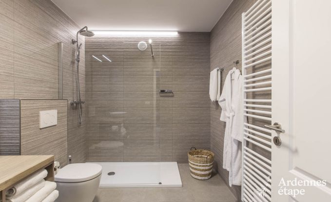 Vakantiehuis in Paliseul voor 12 personen in de Ardennen