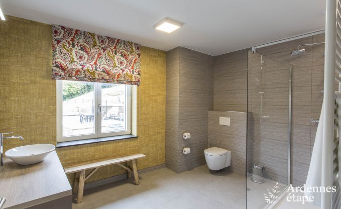 Vakantiehuis in Paliseul voor 12 personen in de Ardennen