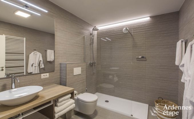 Vakantiehuis in Paliseul voor 12 personen in de Ardennen