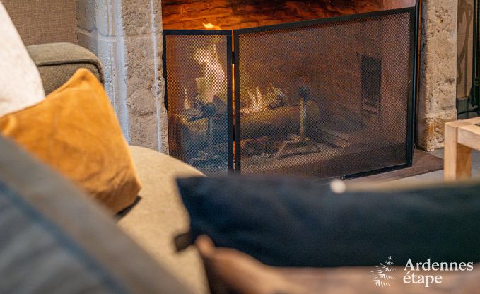 Vakantiehuis in Paliseul voor 12 personen in de Ardennen