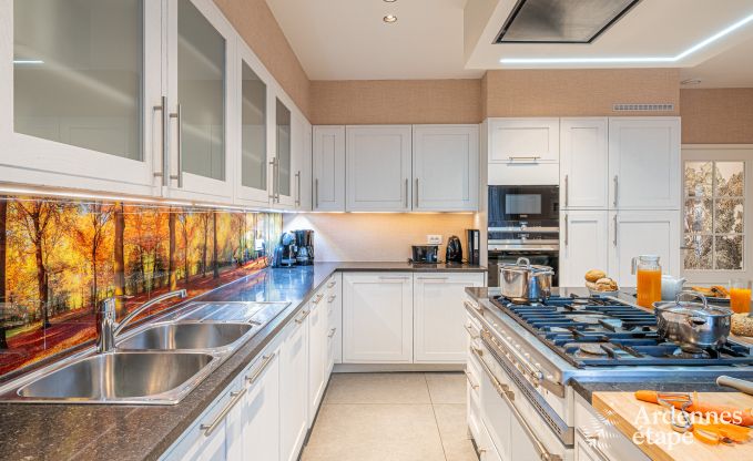 Vakantiehuis in Paliseul voor 12 personen in de Ardennen