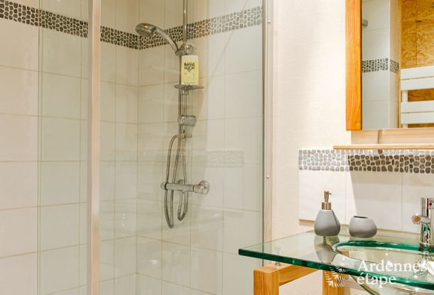 Vakantiehuis in Philippeville voor 9 personen in de Ardennen