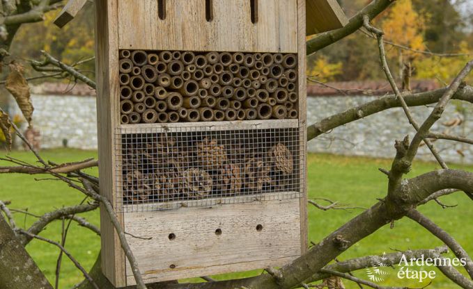 Vakantiehuis in Philippeville voor 12/14 personen in de Ardennen