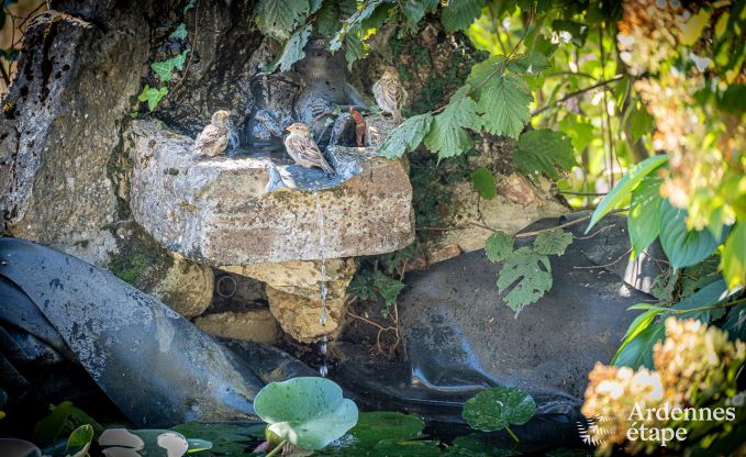 Vakantiehuis in Philippeville voor 6 personen in de Ardennen